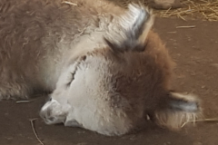 20190325_193554