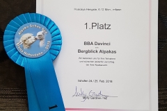 BBA Davinci 4