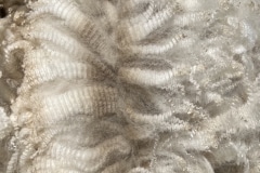 BBA Royal Snowball