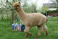 IMG_20190423_170336_2