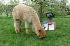 IMG_20190423_171208_5